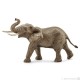 Elefante Africano Maschio - Schleich WILD LIFE 14762